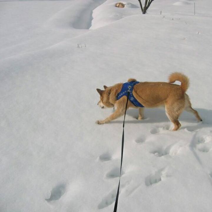 6636bd23 6926 4b8d aeb1 22114d65e236