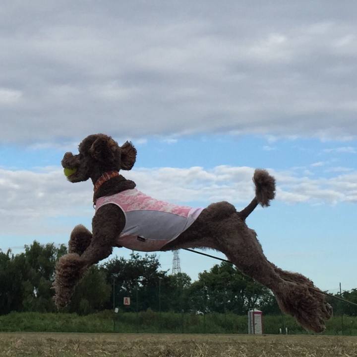 6637b9b1 6a0d 4139 b8df 0da7d6603738