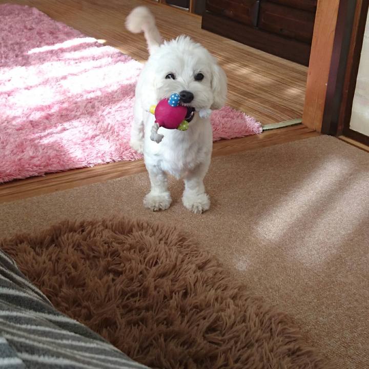 6639f327 e7aa 434d 90ab 63c7c5449c1d