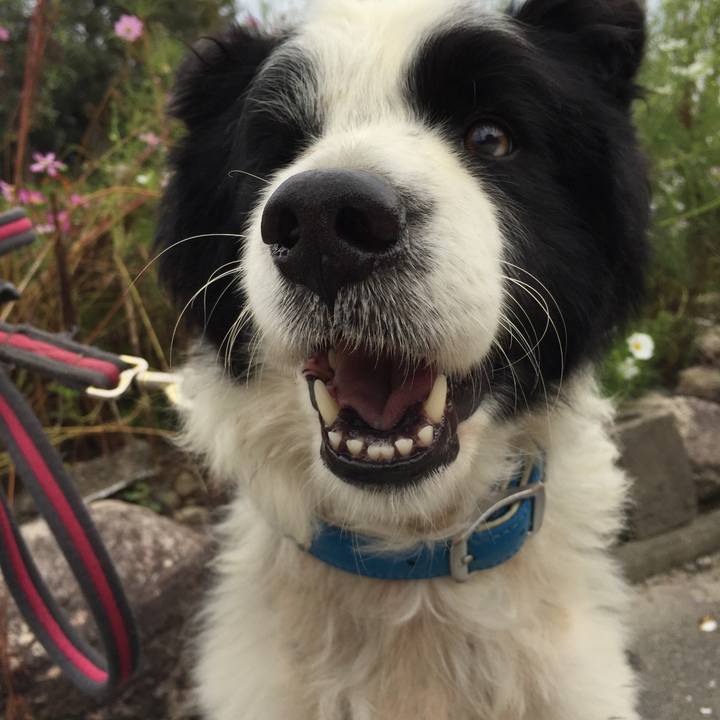 663a53bf fcaf 4cfe be7b 566526407072