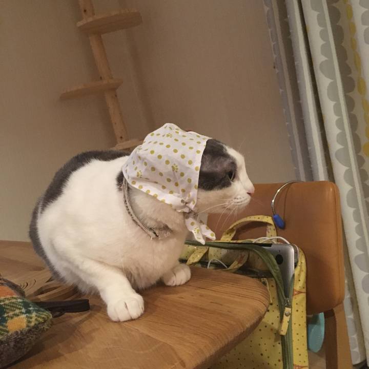 663a9857 b312 4ae4 9066 8453e60890b2