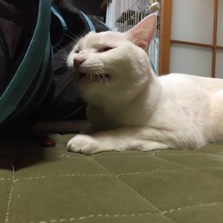 663b3a2c 75a3 4659 b132 cc3d089e2126