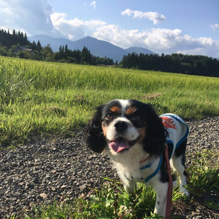 663c001d 6c71 49a2 b16a 4f31c0858067