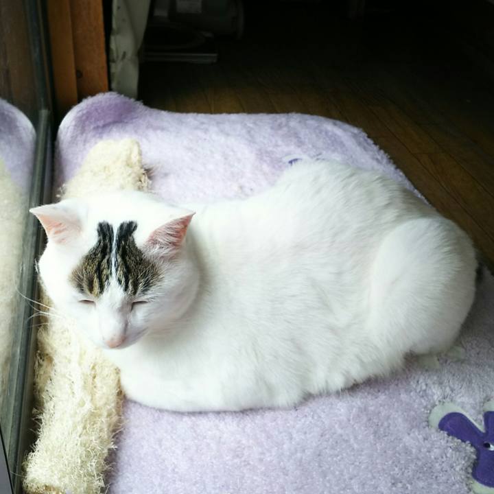 663c0ae8 ed2d 44a0 89c9 d6bc27c184a1