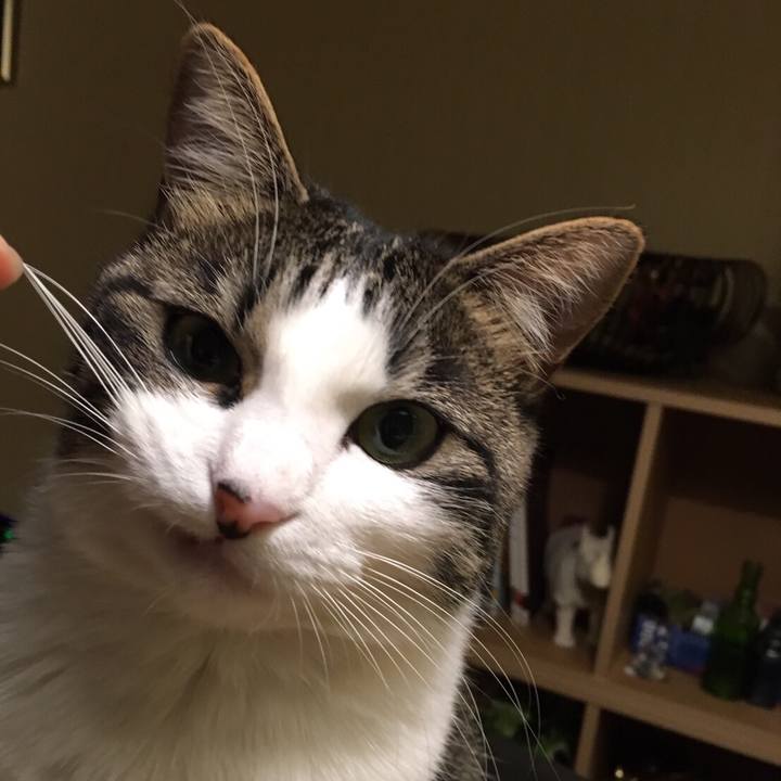 663c8bcc 9672 4e09 a92d 72fd54fa3ce8