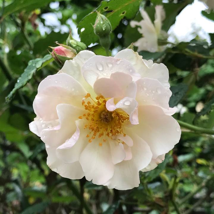 663d41a0 42c9 4758 a93c 861a5fe9ecb4