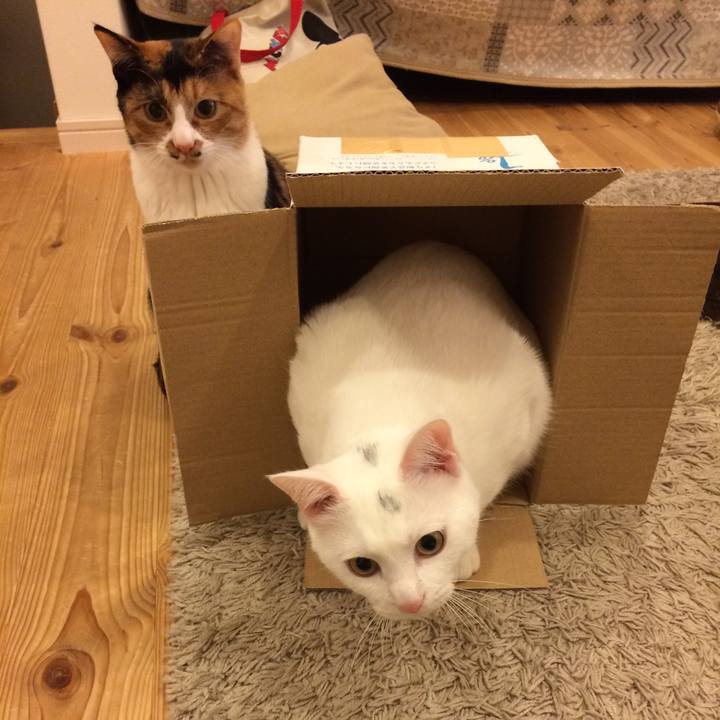 663d4dd7 dd0a 4a68 ace7 604633beade5