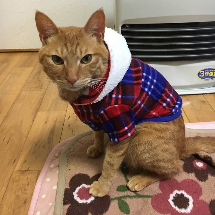 663dcae1 d267 4657 82f5 18f95f1313bc