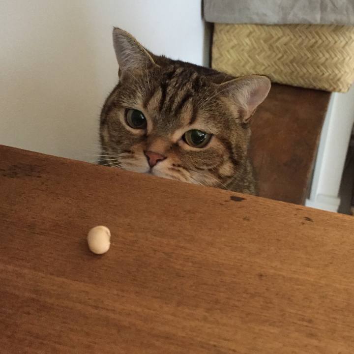 663e789c c223 44b0 8d38 0fee61c38170