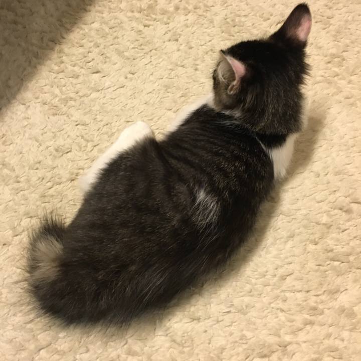 663e97b5 7bcc 4035 af28 c4d968bf538c