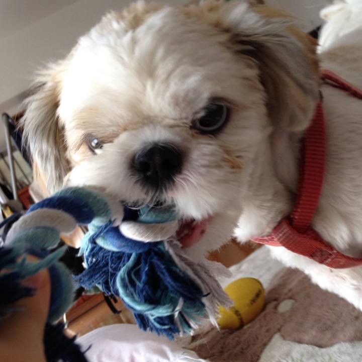 663f3497 a34e 46b9 884f c7394613a57e