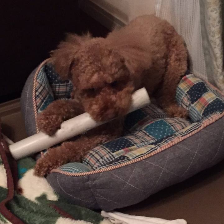 663faed6 dc95 431d 825b 2e066a86e510