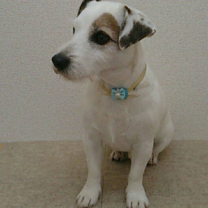 664090ae 2303 4f31 970d eedfb3f0386a