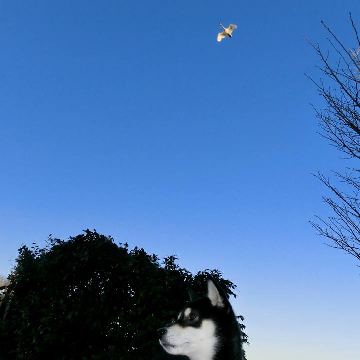 6640e340 aa61 4b6e 9e44 93051b76958f