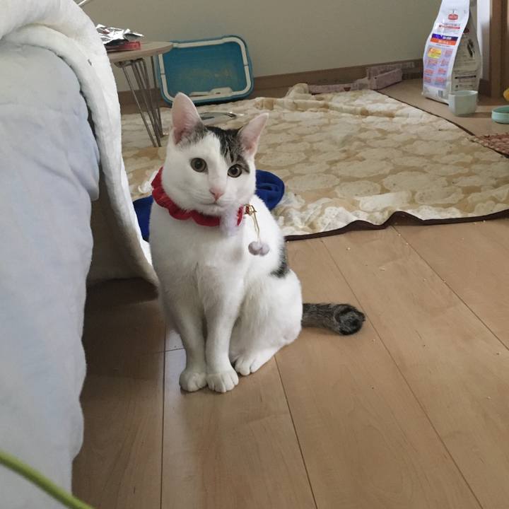 66410e7e 2731 4a67 8833 b0d3e667c77f