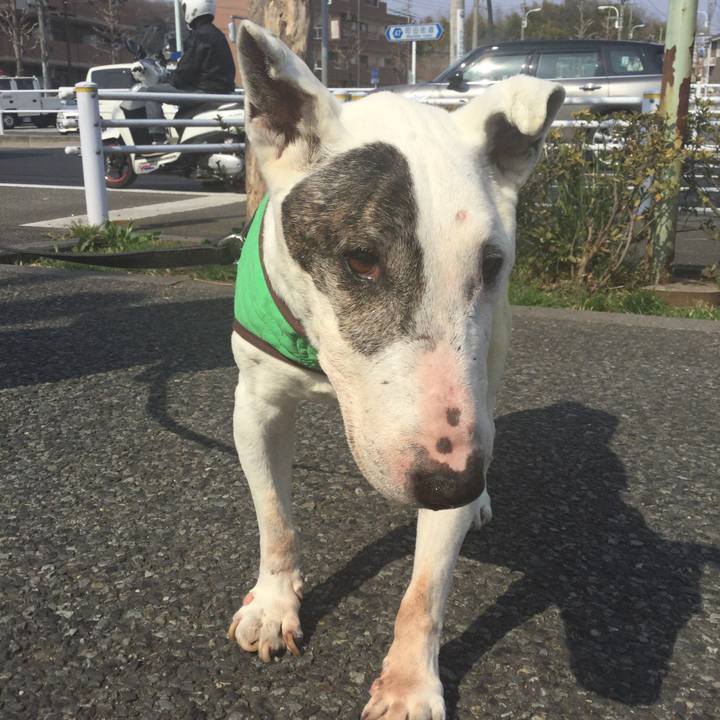 6641265f d54f 436d 84d9 5d9728a1cb18