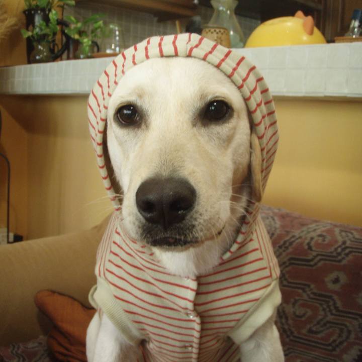 6641c7bb 96d6 407a 9fa2 20a0a20d1bc5