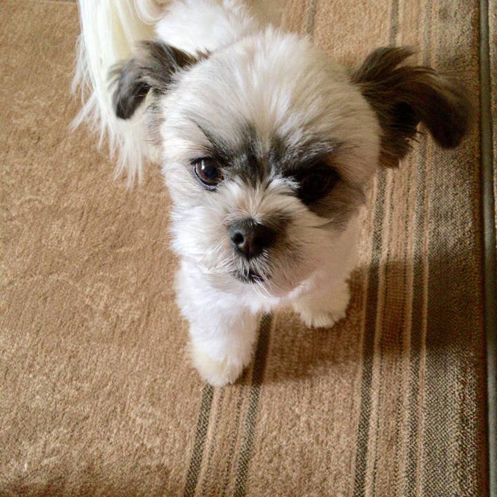 6641e168 e0e4 4908 a8fb 9f47fdc508fb