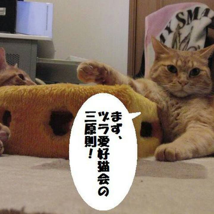 6642d0b9 c522 4d7f b8eb 9d2e929805ec