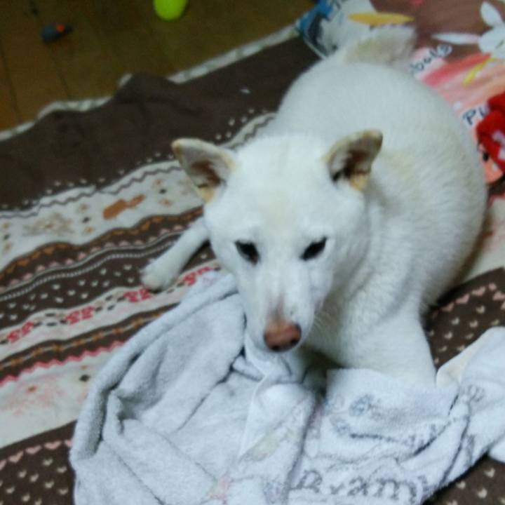 6643b9f6 ff68 4f9d 9c08 402b615c76b1