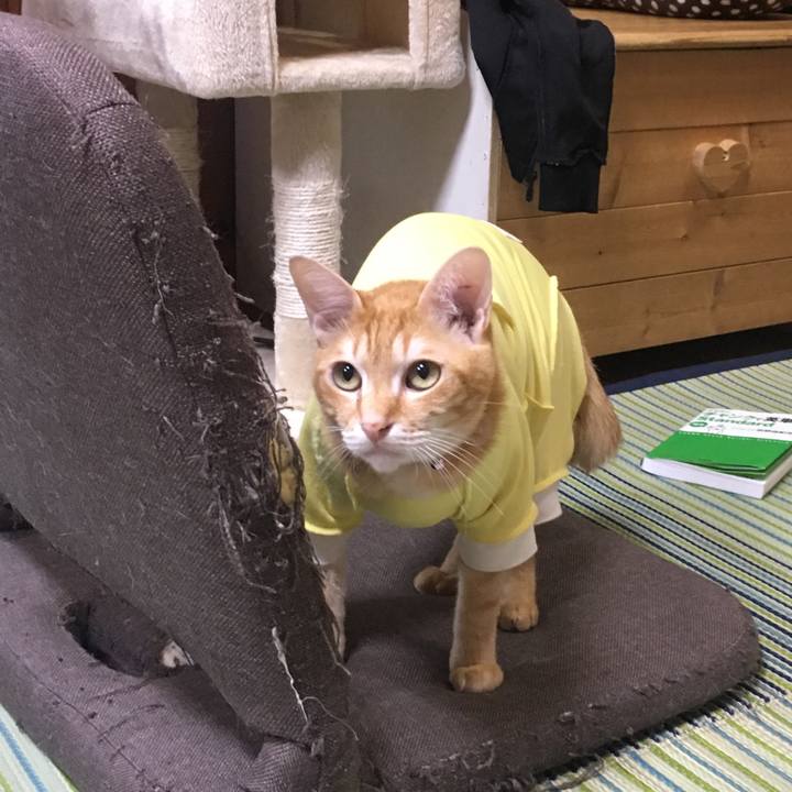 6643c61f 6835 454a a9ae 963573ee569e