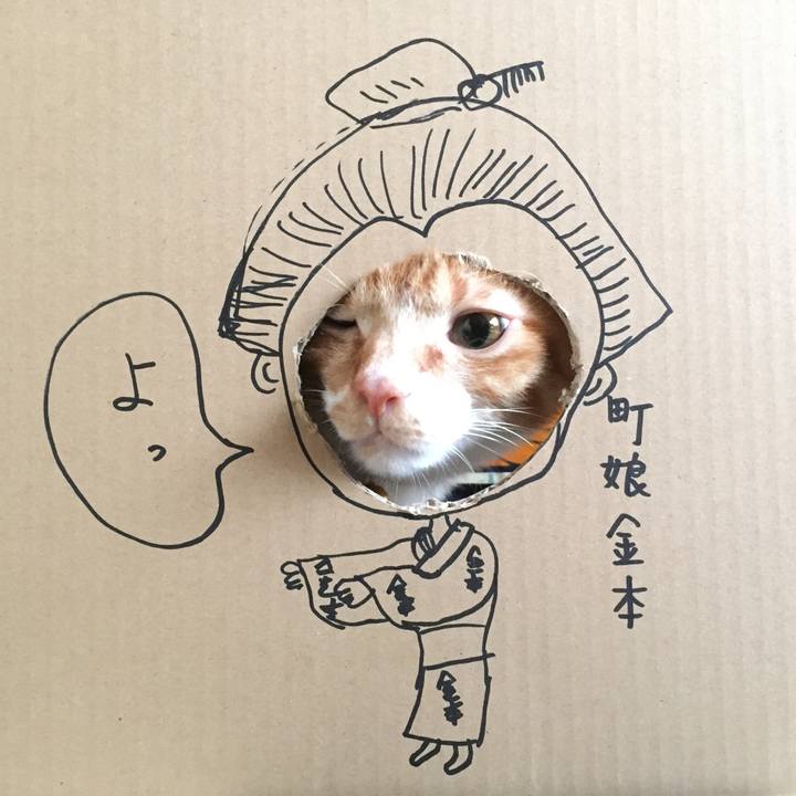 664404ea d709 4bcf b62b 73ee53fe3973