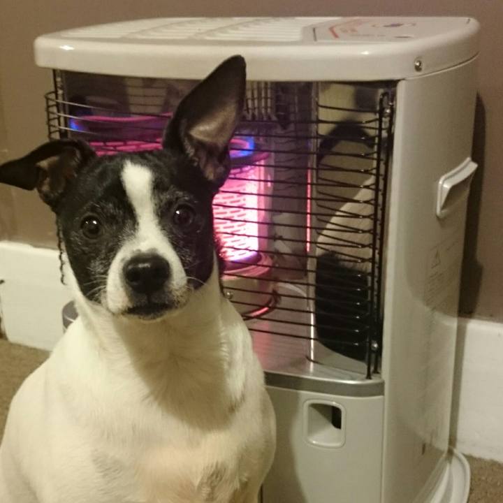 66455f38 3234 4193 8e11 758be1fc6929