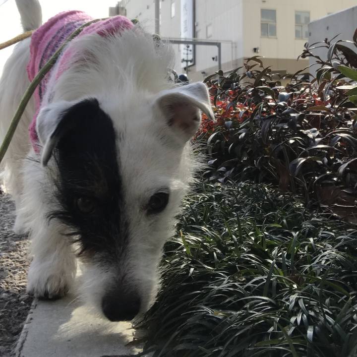 6645601b bbf8 491e a651 05abceee0b78