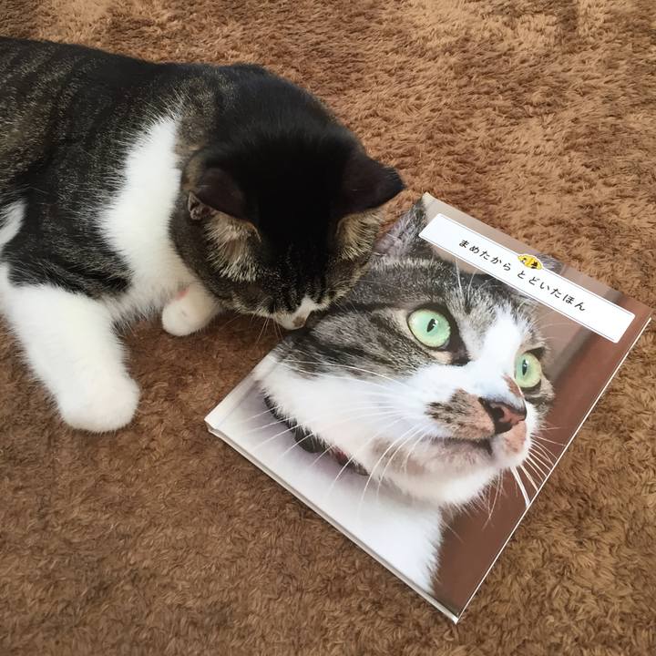 6647724f 447d 42c5 9e19 5484456f22f1