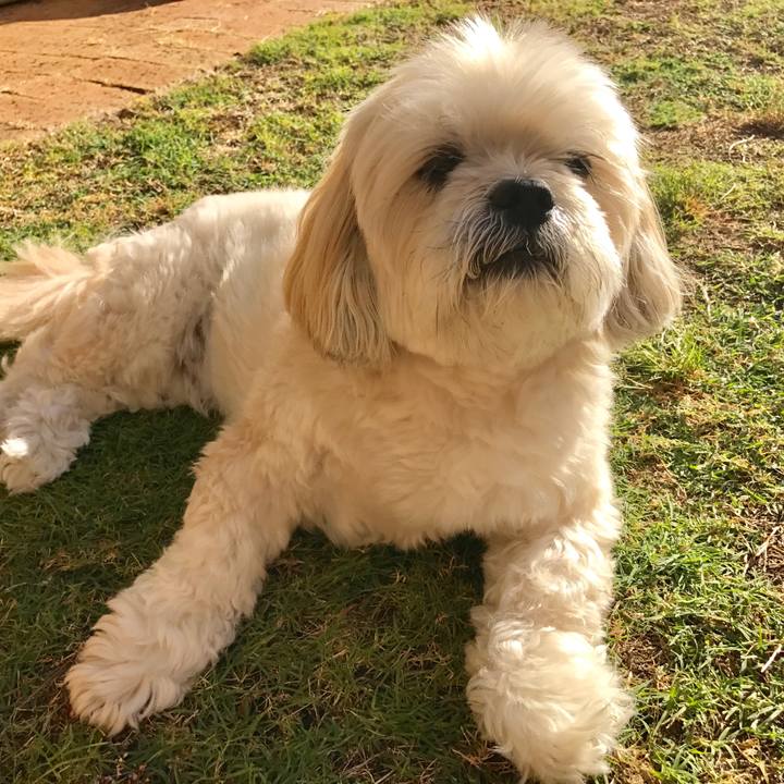 66483eb2 e338 4e96 990b a42215dfcdc3