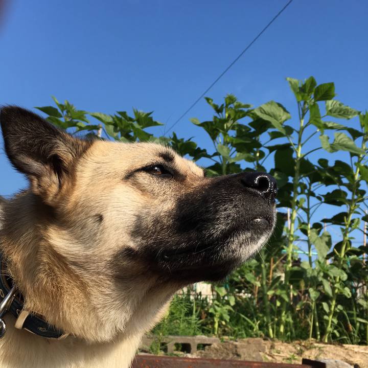 66484a0c 5fba 4d8d bd5a f46791a22312