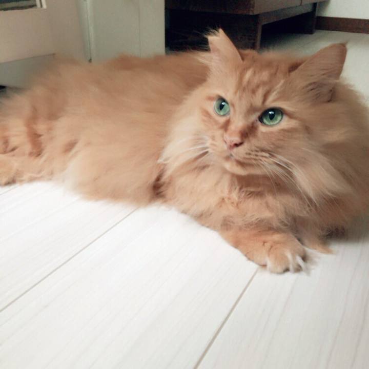 66486856 5147 4c01 a157 4888e96b7aa5