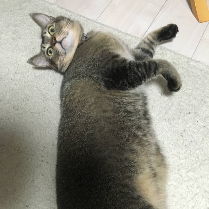 664868cd 06d2 41b1 a2fe 2f9bb87986fb