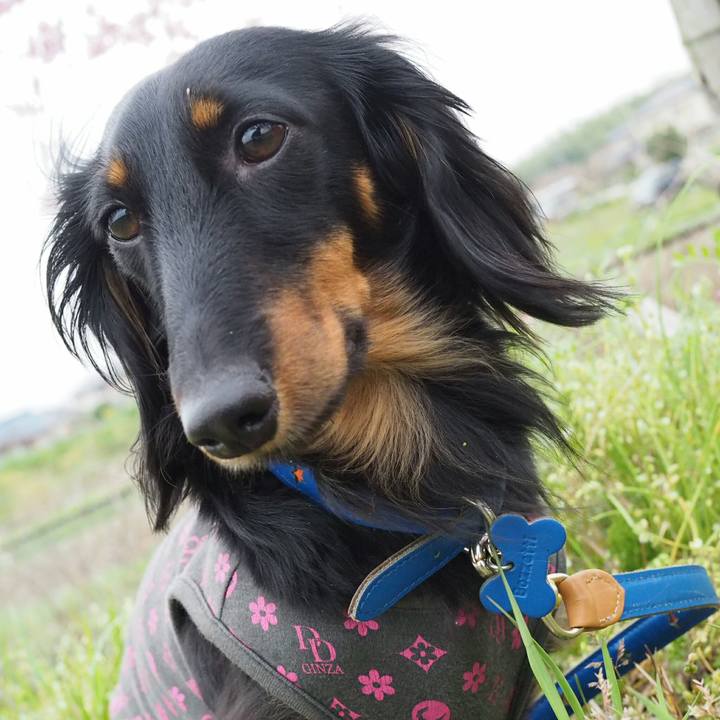 664873c5 e4e5 42ed 9289 987982d9c5d2