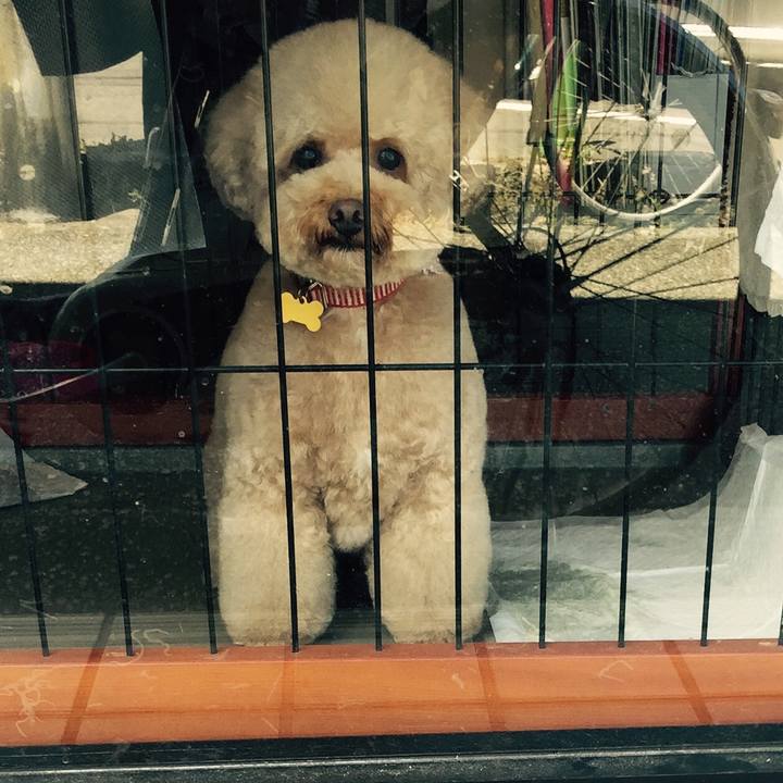 66489c53 8c8b 4fcc 861e f3196fadf337