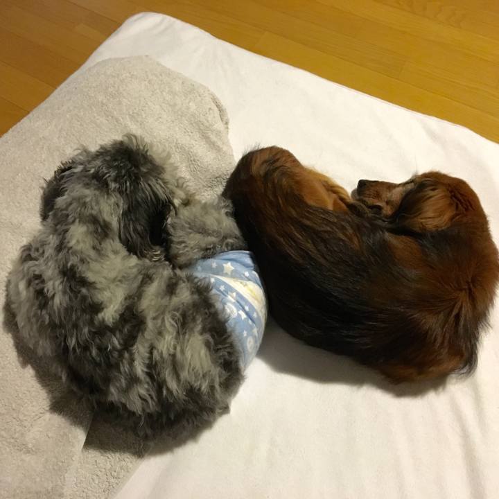 6648ab3d 8e8f 4793 a1c4 fa97ea28c23c