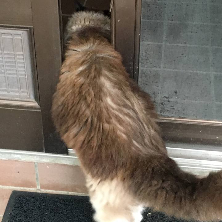 66495a37 4c7d 4e44 96c7 29df91ac60af