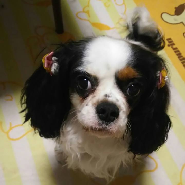 66496efe 1eca 4404 9240 b470809e34ff