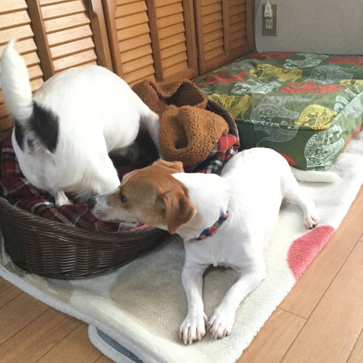 66498a6b e0be 4c5c a868 0834542e406e