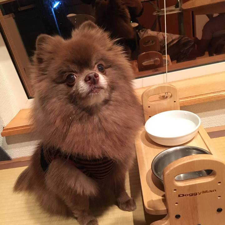 66499be6 92e3 4d9e ac30 0de6d47d2429