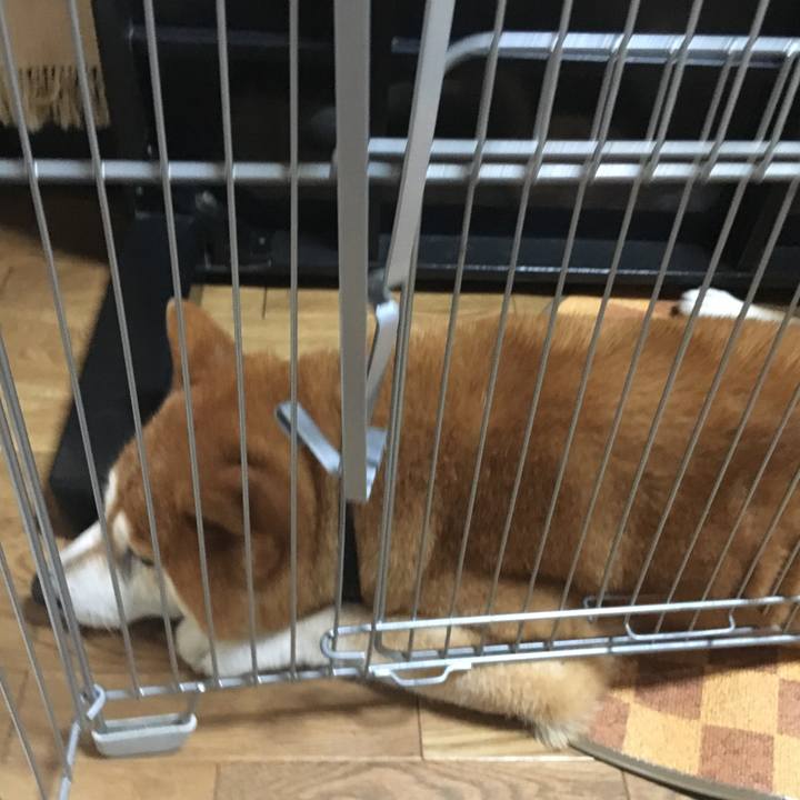 664a2664 bc11 4411 a99c 9e1d9778178d