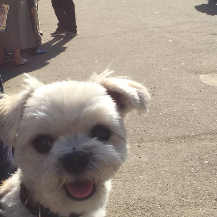 664a346e dc2c 40a5 a968 a1f733462494