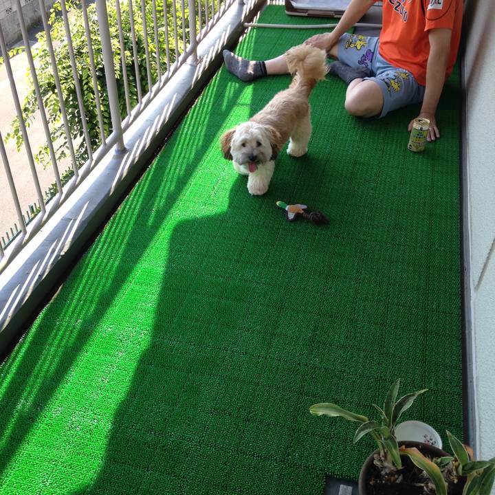 664aa4e6 642d 4bf3 b844 02103b2fedeb