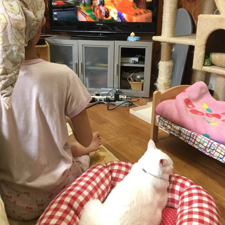 664aa6bd 4e6f 4055 86c9 612f28307e75