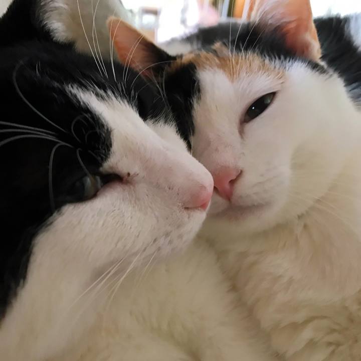 664aec2b 1300 4c41 afaf d952b25fec46