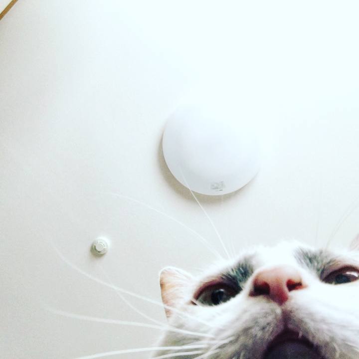 664c7541 d39e 4bea 9a97 2172fe8949ac