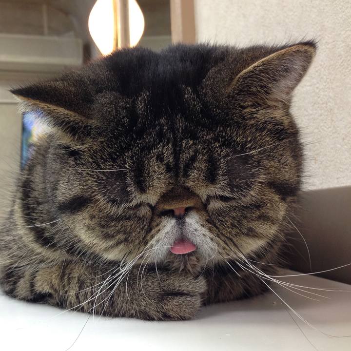 664ca0c5 e0f3 4720 9e01 ea9dc6831f0e