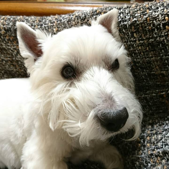 664d5b2c 2696 401c a0b2 9b183cf1ac0a