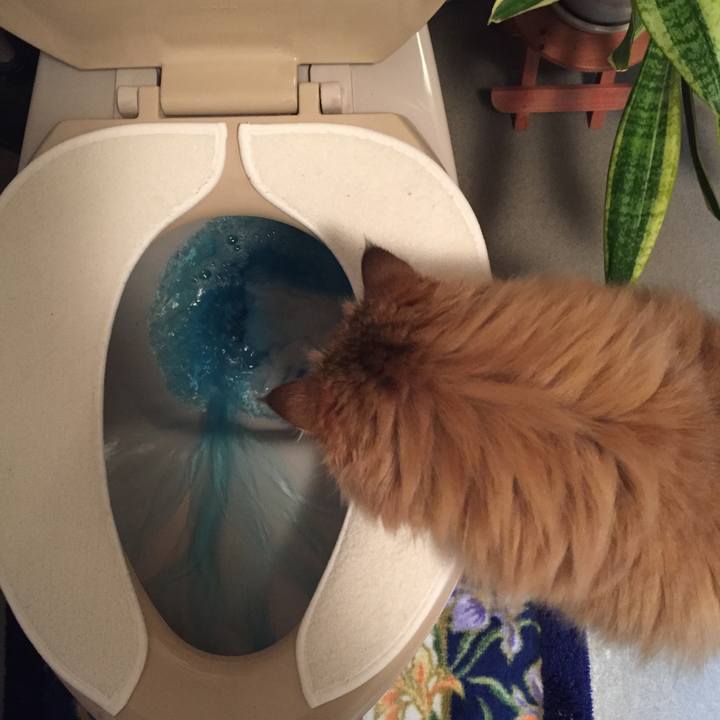 664d606e 9454 47a3 b8fc 117b7ef67b36