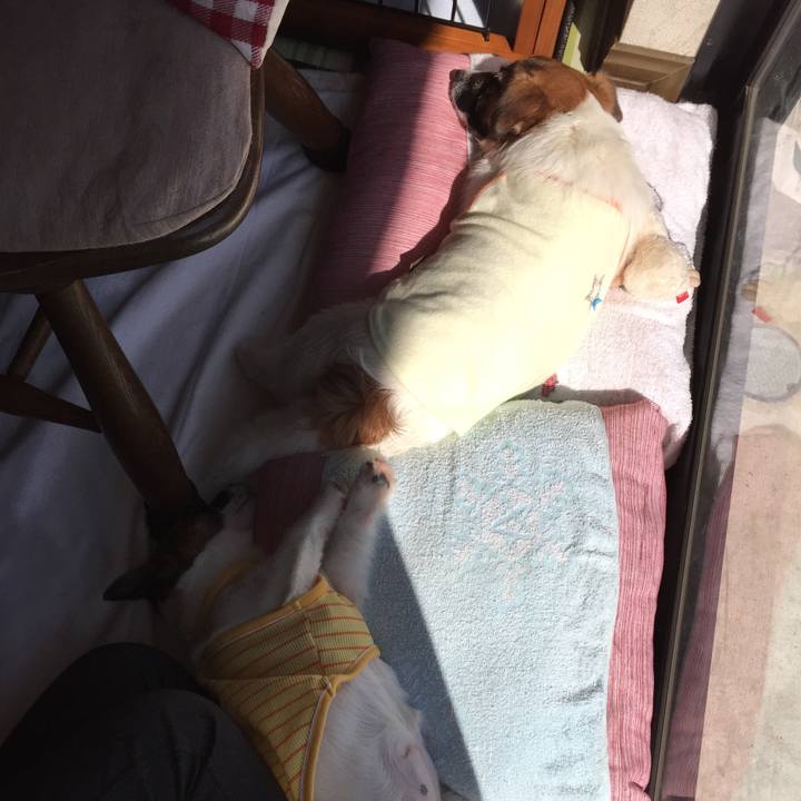 664d8669 6596 4e13 84c3 bb5c43458ac5